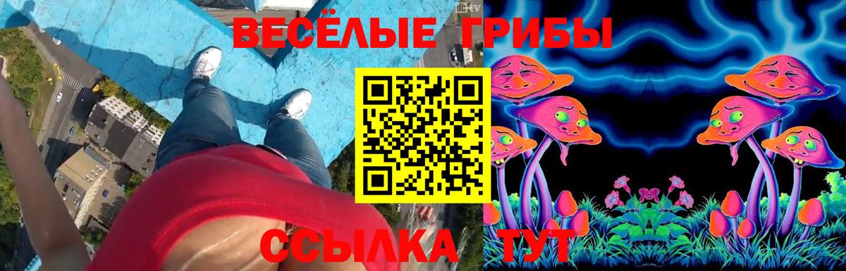 Галлюциногенные грибы Psilocybine cubensis Унеча