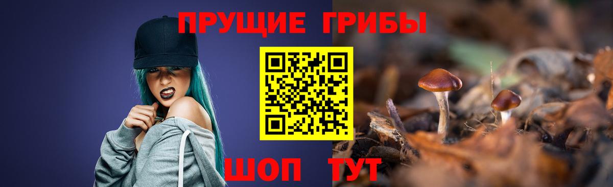Унеча  Псилоцибиновые грибы ЛСД  Псилоцибиновые грибы MAGIC MUSHROOMS  Вход с VPN 